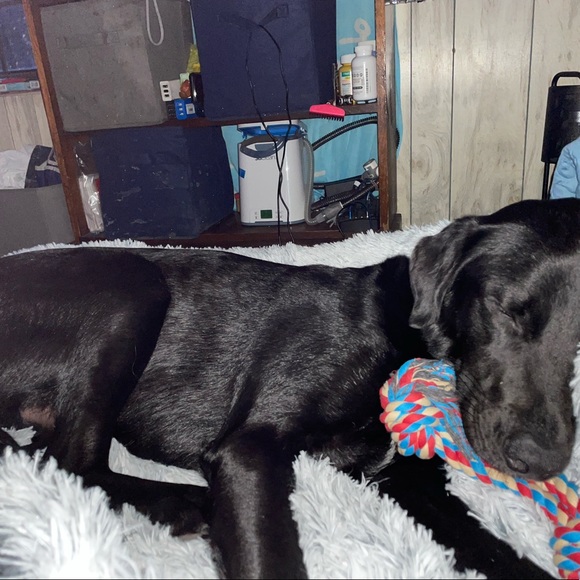 Meet your Posher, Angela - Picture 12 of 12